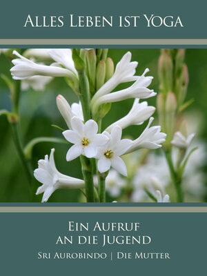 cover image of Ein Aufruf an die Jugend